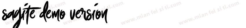 Sagite DEMO VERSION字体转换